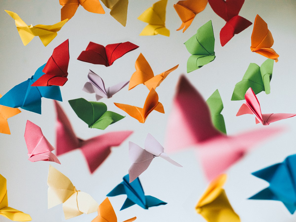 Innovation Diversity Pledge Update – by&nbsp;USIPA